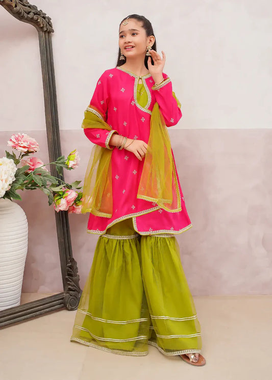 3 Piece Rawsilk Pink Embroidered Gharara