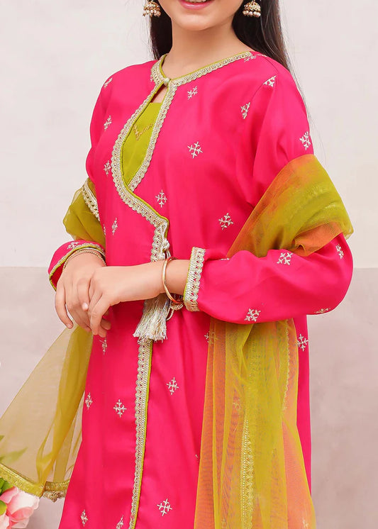 3 Piece Rawsilk Pink Embroidered Gharara