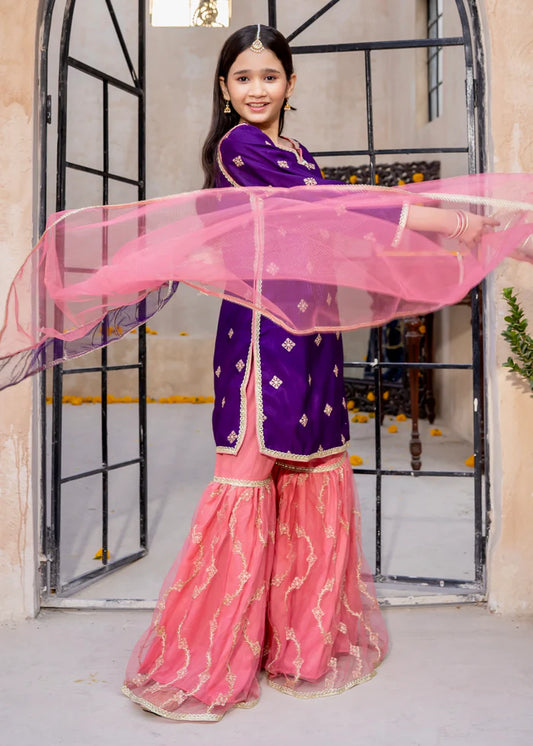3 Piece Purple Embroidered Rawsilk Gharara
