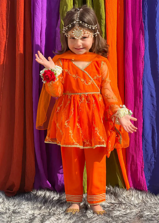 Girls Embroidered Net 3 Piece Suit