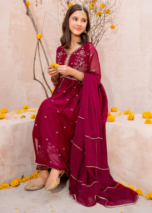 Maroon Crinkle Embroidered 3 Piece