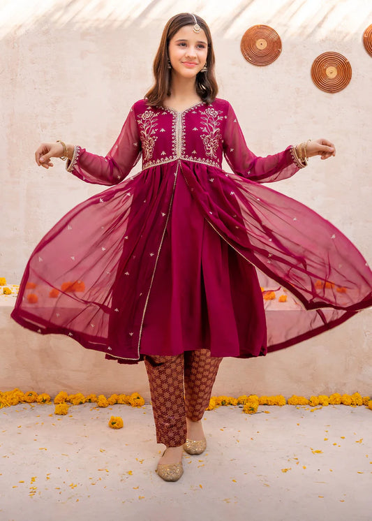 Maroon Crinkle Embroidered 3 Piece