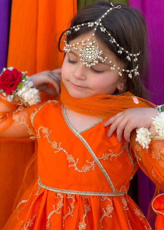 Girls Embroidered Net 3 Piece Suit