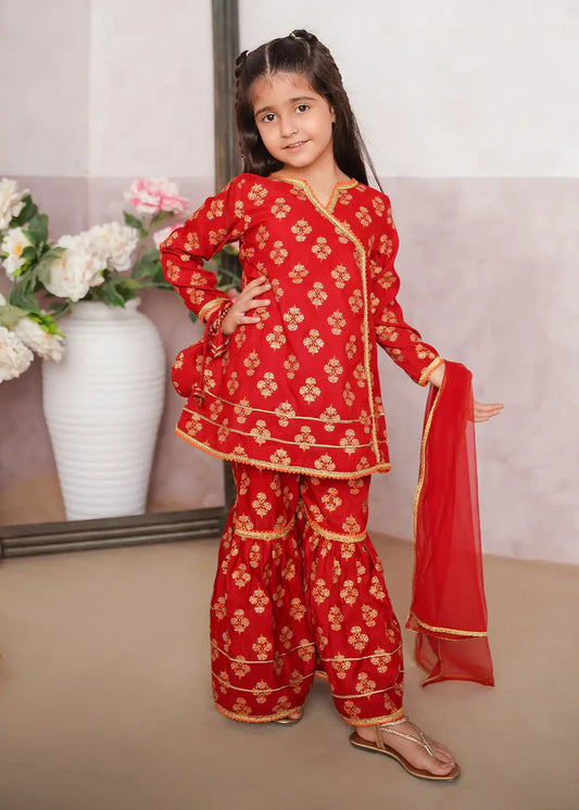 3 Piece Rawsilk Printed Gharara